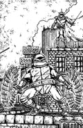Teenage Mutant Ninja Turtles #23 Variant RI 10 Eastman & Bishop B&W Full Art 1:10