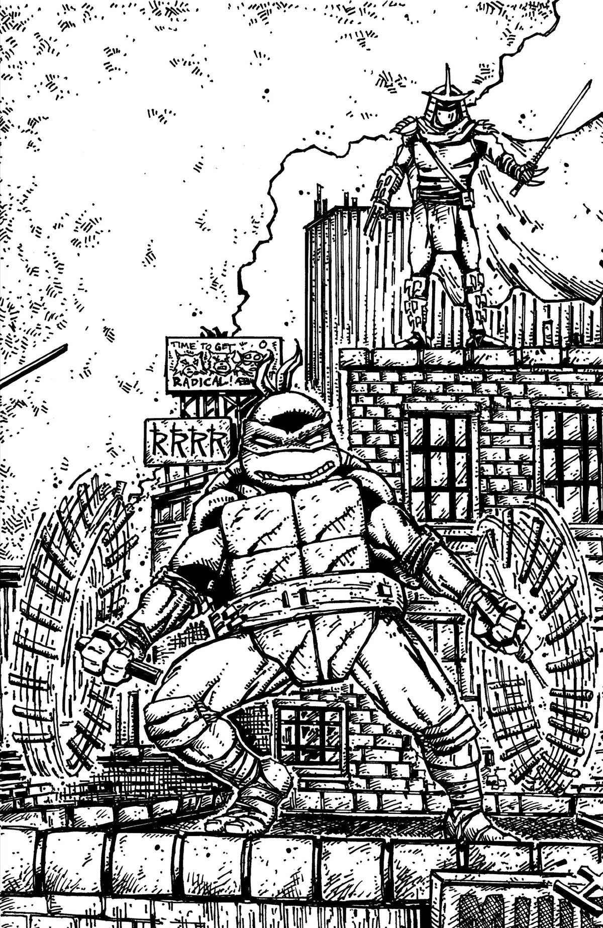 Teenage Mutant Ninja Turtles #23 Variant RI 10 Eastman & Bishop B&W Full Art 1:10